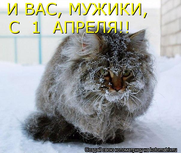 И ВАС, МУЖИКИ, С 1 АПРЕЛЯ!!... Котоматрица: И ВАС, МУЖИКИ, С 1 АПРЕЛЯ!!
