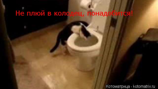 Котоматрица: Не плюй в колодец, понадобится!