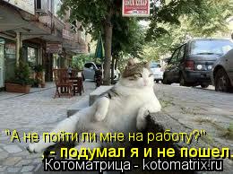 Котоматрица: , - подумал я и не пошел. "А не пойти ли мне на работу?"