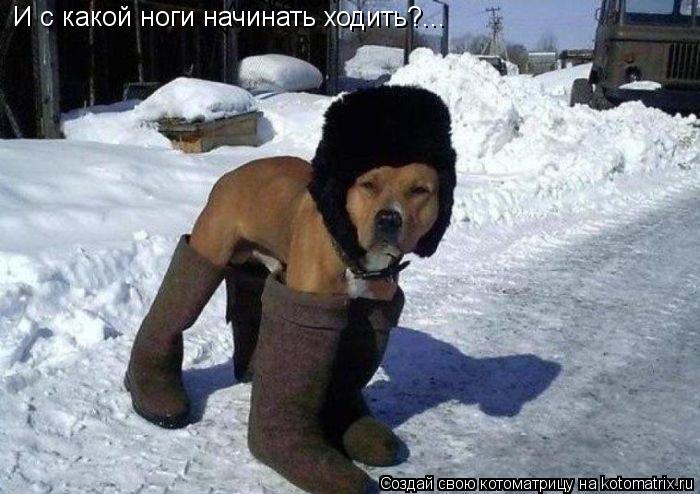 И с какой ноги начинать ходить?... И с какой ноги начинать ходить?... И с какой ноги начинать ходить?... Котоматрица: И с какой ноги начинать ходить?... И с какой ноги начинать ходить?... И с какой ноги начинать ходить?...