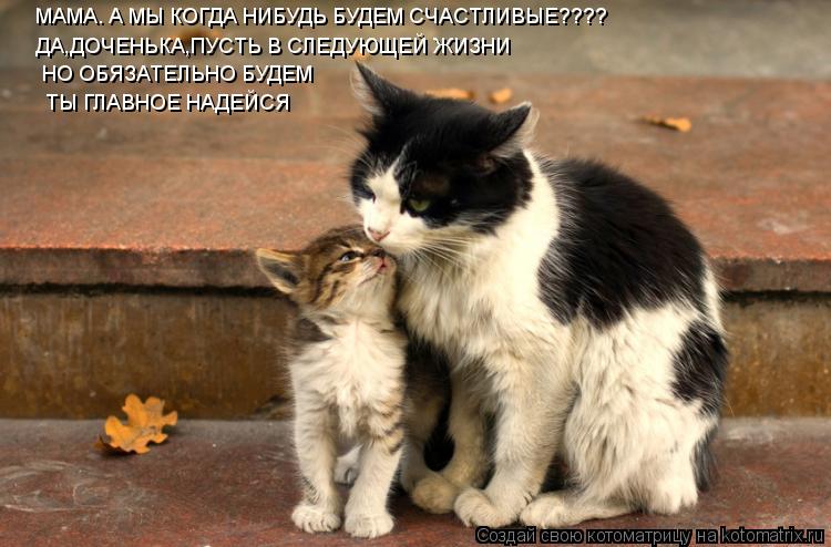 МАМА. А МЫ КОГДА НИБУДЬ БУДЕМ СЧАСТЛИВЫЕ???? ДА,ДОЧЕНЬКА,ПУСТЬ В СЛЕДУЮЩЕЙ ЖИЗНИ НО ОБЯЗАТЕЛЬНО БУДЕМ... Котоматрица: МАМА. А МЫ КОГДА НИБУДЬ БУДЕМ СЧАСТЛИВЫЕ???? ДА,ДОЧЕНЬКА,ПУСТЬ В СЛЕДУЮЩЕЙ ЖИЗНИ НО ОБЯЗАТЕЛЬНО БУДЕМ ТЫ ГЛАВНОЕ НАДЕЙСЯ