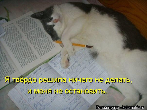 Котоматрица: Я твёрдо решила ничего не делать,  и меня не остановить.