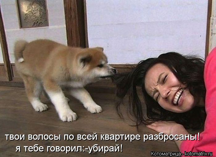 твои волосы по всей квартире разбросаны! я тебе говорил:-убирай!... Котоматрица: твои волосы по всей квартире разбросаны! я тебе говорил:-убирай!