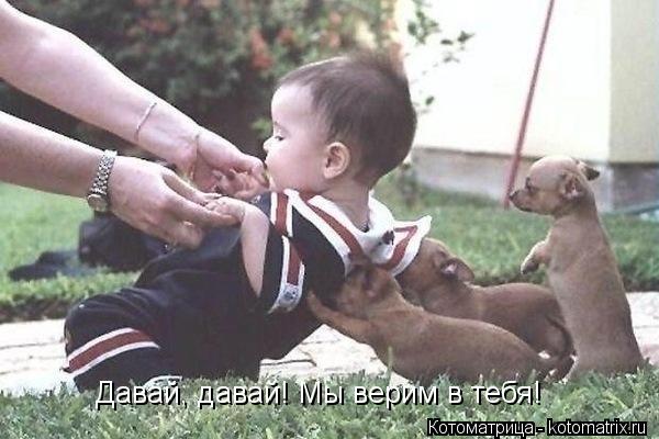 Котоматрица: Давай, давай! Мы верим в тебя!