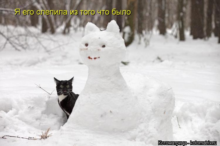 Я его слепила из того что было... Котоматрица: Я его слепила из того что было