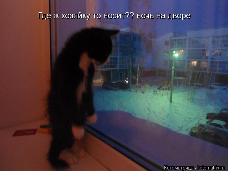 Котоматрица: Где ж хозяйку то носит?? ночь на дворе