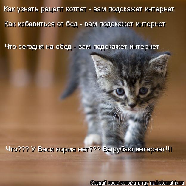 Как узнать рецепт котлет - вам подскажет интернет. Как избавиться от бед - вам подскажет интернет. Чт... Котоматрица: Как узнать рецепт котлет - вам подскажет интернет. Как избавиться от бед - вам подскажет интернет. Что сегодня на обед - вам подскажет интерн