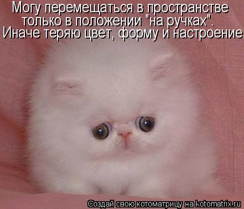 Котоматрица: Иначе теряю цвет, форму и настроение... только в положении "на ручках". Могу перемещаться в пространстве