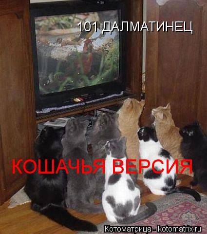 101 ДАЛМАТИНЕЦ КОШАЧЬЯ ВЕРСИЯ... Котоматрица: 101 ДАЛМАТИНЕЦ КОШАЧЬЯ ВЕРСИЯ