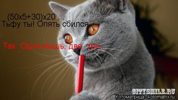 Котоматрица: (50х5+30)х20 ... Тьфу ты! Опять сбился Так. Одна мышь, две, три ...