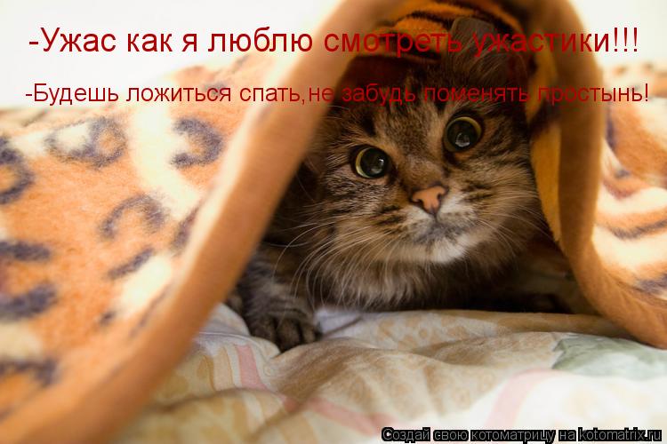 Котоматрица: -Ужас как я люблю смотреть ужастики!!! -Будешь ложиться спать,не забудь поменять простынь!