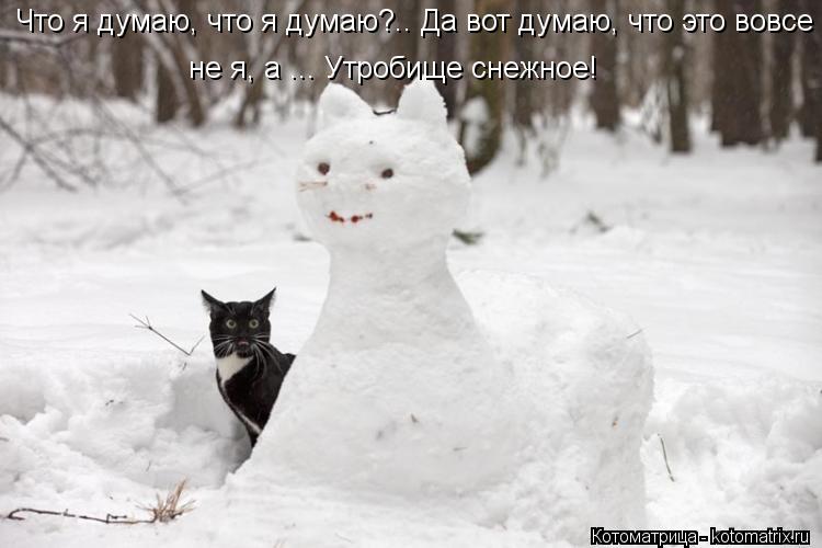 Котоматрица: Что я думаю, что я думаю?.. Да вот думаю, что это вовсе  не я, а ... Утробище снежное!