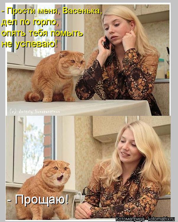 - Прости меня, Васенька, дел по горло, опять тебя помыть не успеваю! - Прощаю!... Котоматрица: - Прости меня, Васенька, дел по горло, опять тебя помыть не успеваю! - Прощаю!