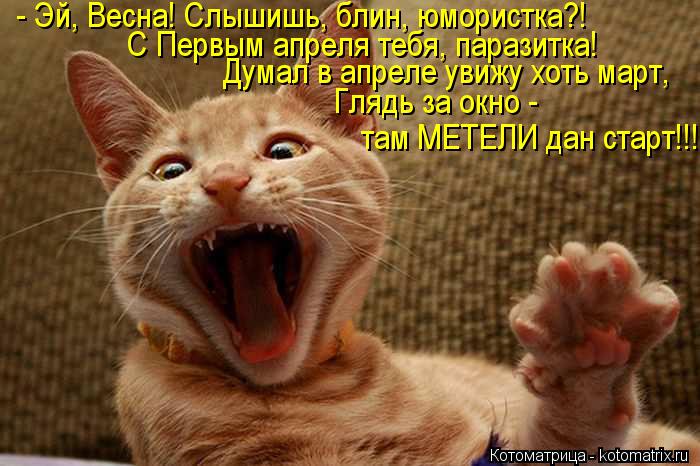 - Эй, Весна! Слышишь, блин, юмористка?! С Первым апреля тебя, паразитка! Думал в апреле увижу хоть ма... Котоматрица: - Эй, Весна! Слышишь, блин, юмористка?! С Первым апреля тебя, паразитка! Думал в апреле увижу хоть март, Глядь за окно - там МЕТЕЛИ дан старт!!!