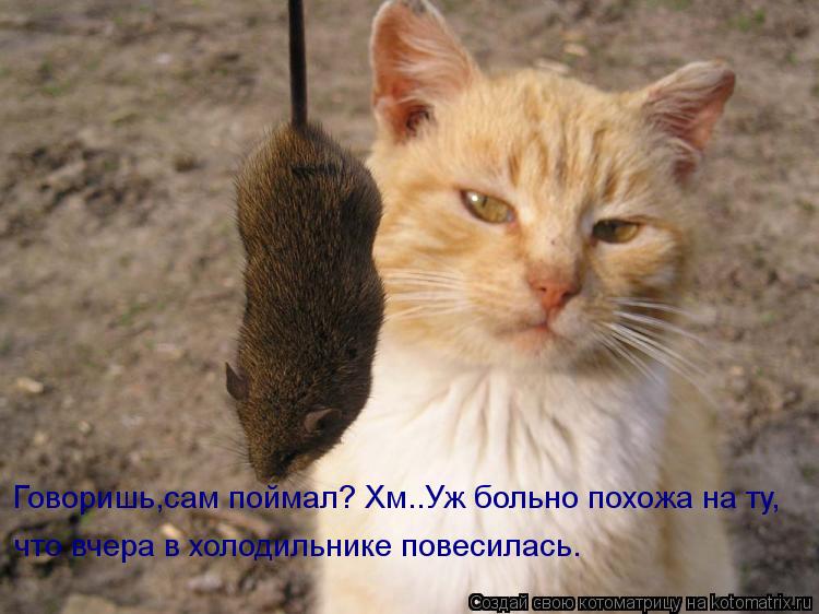 Говоришь,сам поймал? Хм..Уж больно похожа на ту, что вчера в холодильнике повесилась.... Котоматрица: Говоришь,сам поймал? Хм..Уж больно похожа на ту, что вчера в холодильнике повесилась.