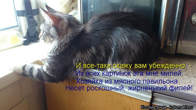 И все-таки скажу вам убежденно, - Из всех картинок эта мне милей: Хозяйка из мясного павильона Несет ... Котоматрица: И все-таки скажу вам убежденно, - Из всех картинок эта мне милей: Хозяйка из мясного павильона Несет роскошный, жирненький филей!