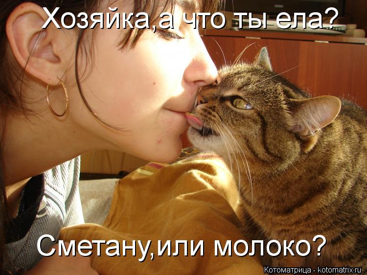 Котоматрица: Хозяйка,а что ты ела? Сметану,или молоко?