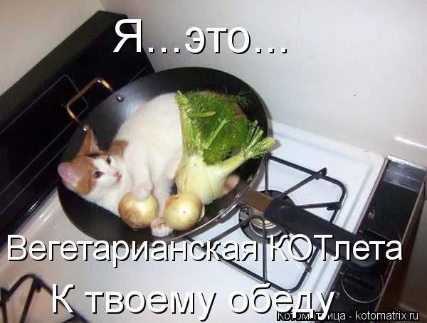 Котоматрица: Я...это... К твоему обеду Вегетарианская КОТлета
