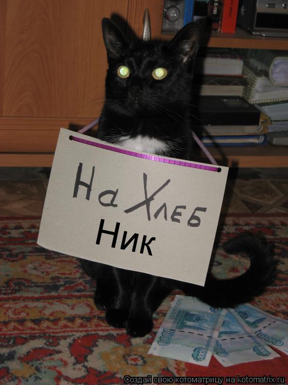 Ник... Котоматрица: Ник