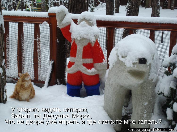 У старого видать склероз, Забыл, ты Дедушка Мороз, Что на дворе уже апрель и где скажите мне капель?... Котоматрица: У старого видать склероз, Забыл, ты Дедушка Мороз, Что на дворе уже апрель и где скажите мне капель?