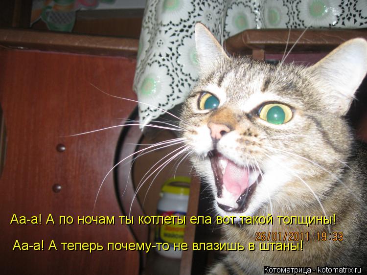 Аа-а! А по ночам ты котлеты ела вот такой толщины! Аа-а! А теперь почему-то не влазишь в штаны!... Котоматрица: Аа-а! А по ночам ты котлеты ела вот такой толщины! Аа-а! А теперь почему-то не влазишь в штаны!