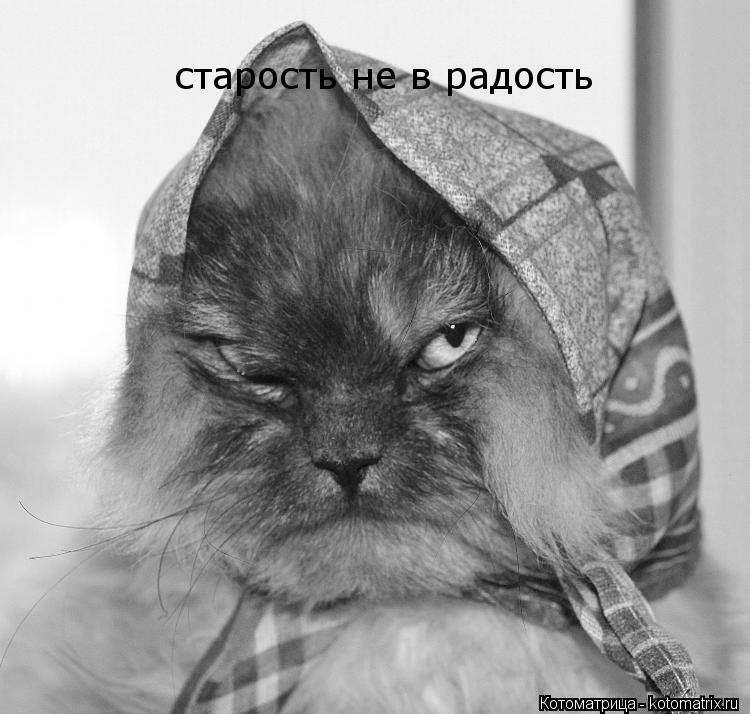 старость не в радость... Котоматрица: старость не в радость