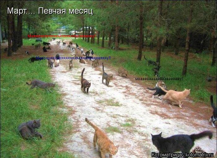 Март.... Певчая месяц Мияяяяяяяяяяяяяяяяяяяяяяяяяяяу!! Мриряряяяяяяяяяяяяяяяяяяяяяяяяяяу!! мваааааааа... Котоматрица: Март.... Певчая месяц Мияяяяяяяяяяяяяяяяяяяяяяяяяяяу!! Мриряряяяяяяяяяяяяяяяяяяяяяяяяяяу!! мваааааааааааааааааау!!