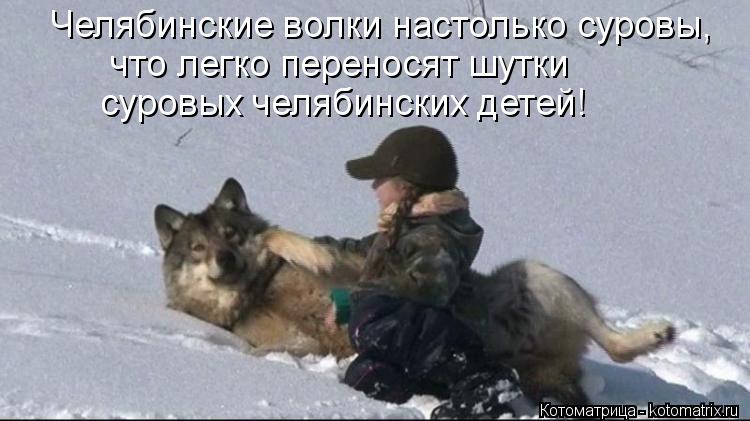 Котоматрица: Челябинские волки настолько суровы, что легко переносят шутки  суровых челябинских детей!