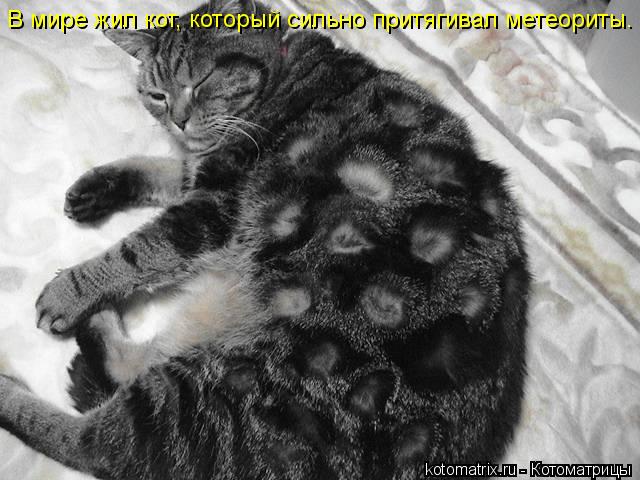В мире жил кот, который сильно притягивал метеориты.... Котоматрица: В мире жил кот, который сильно притягивал метеориты.