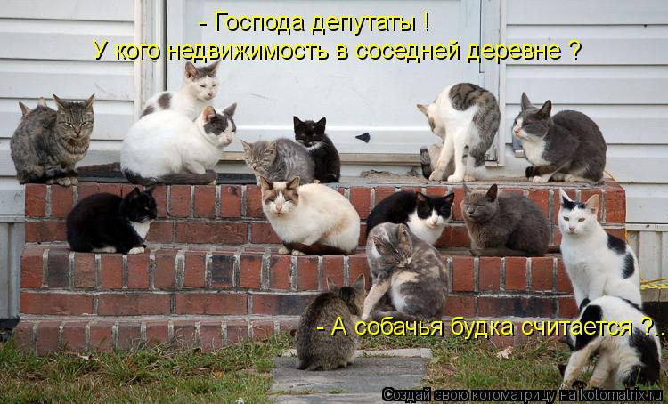 - Господа депутаты ! У кого недвижимость в соседней деревне ? - А собачья будка считается ?....... Котоматрица: - Господа депутаты ! У кого недвижимость в соседней деревне ? - А собачья будка считается ?....