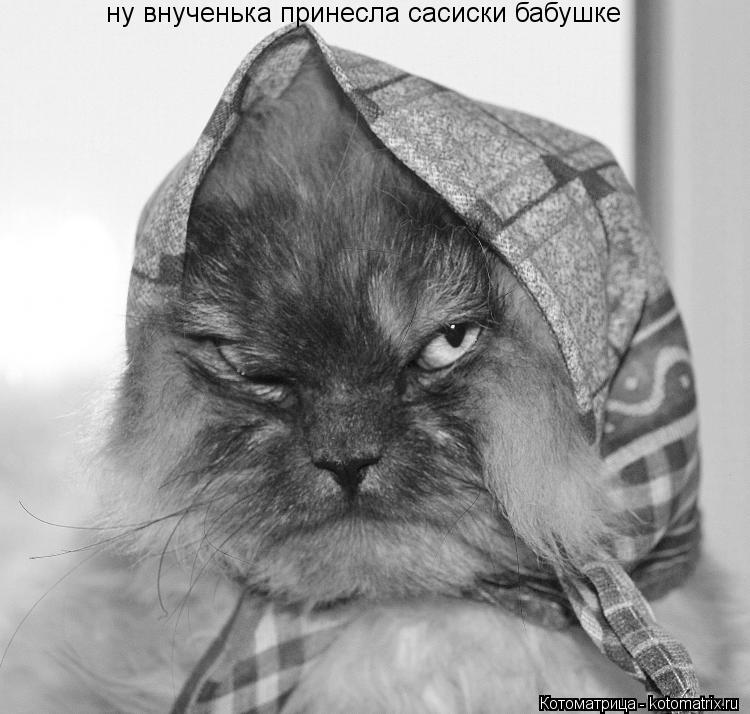ну внученька принесла сасиски бабушке... Котоматрица: ну внученька принесла сасиски бабушке