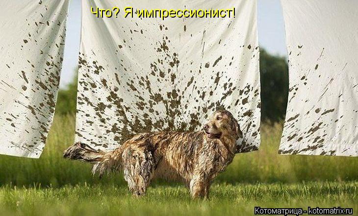 Котоматрица: Что? Я импрессионист!