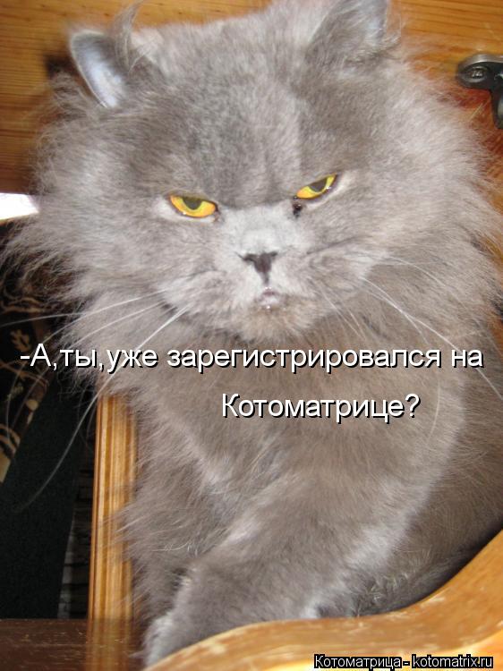 -А,ты,уже зарегистрировался на Котоматрице?... Котоматрица: -А,ты,уже зарегистрировался на Котоматрице?