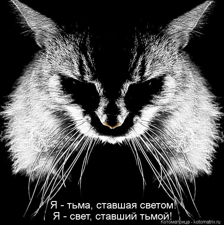 Я - тьма, ставшая светом! Я - свет, ставший тьмой!... Котоматрица: Я - тьма, ставшая светом! Я - свет, ставший тьмой!