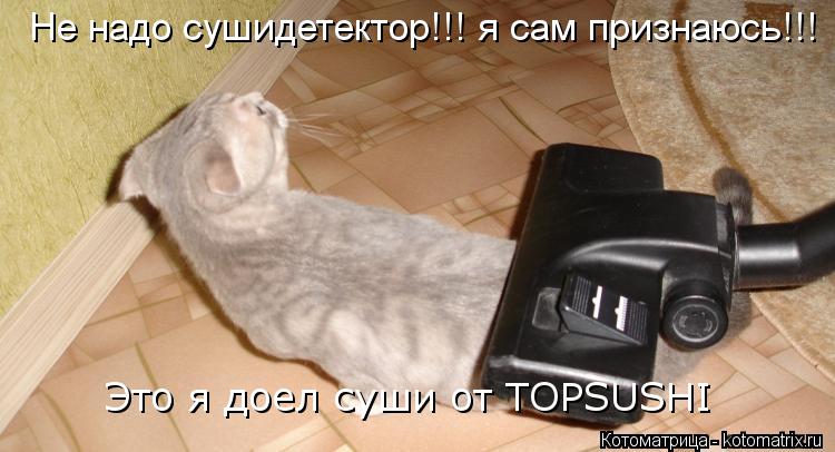 Котоматрица: Не надо сушидетектор!!! я сам признаюсь!!! Это я доел суши от TOPSUSHI