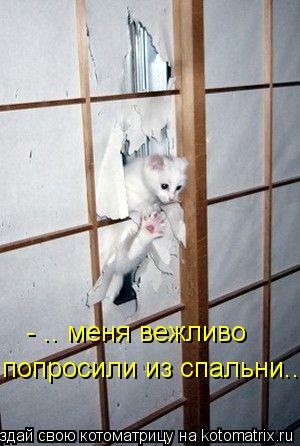 - .. меня вежливо попросили из спальни...... Котоматрица: - .. меня вежливо попросили из спальни...
