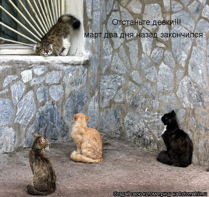 Котоматрица: Отстаньте,девки!!! март два дня назад закончился