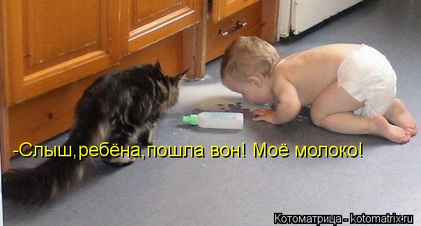 -Слыш,ребёна,пошла вон! Моё молоко!... Котоматрица: -Слыш,ребёна,пошла вон! Моё молоко!