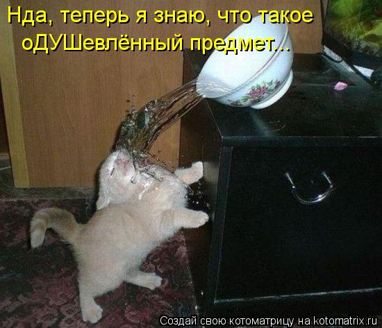 Котоматрица: Нда, теперь я знаю, что такое оДУШевлённый предмет...