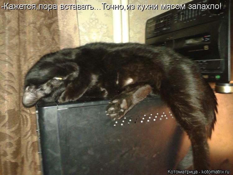 Котоматрица: -Кажется,пора вставать...Точно,из кухни мясом запахло!
