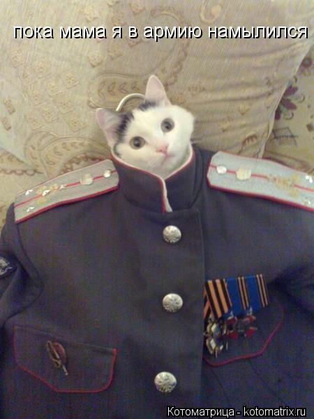 пока мама я в армию намылился пока мама я в армию намылился... Котоматрица: пока мама я в армию намылился пока мама я в армию намылился