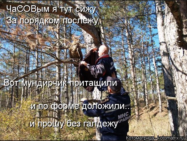 ЧаСОВым я тут сижу За порядком послежу, Вот мундирчик притащили и прошу без галдежу и по форме доложи... Котоматрица: ЧаСОВым я тут сижу За порядком послежу, Вот мундирчик притащили и прошу без галдежу и по форме доложили...