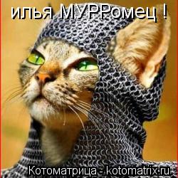 илья МУРРомец !... Котоматрица: илья МУРРомец !