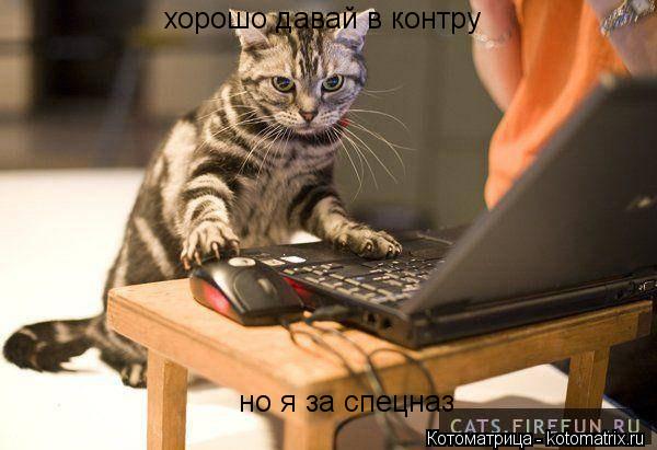 Котоматрица: хорошо давай в контру но я за спецназ