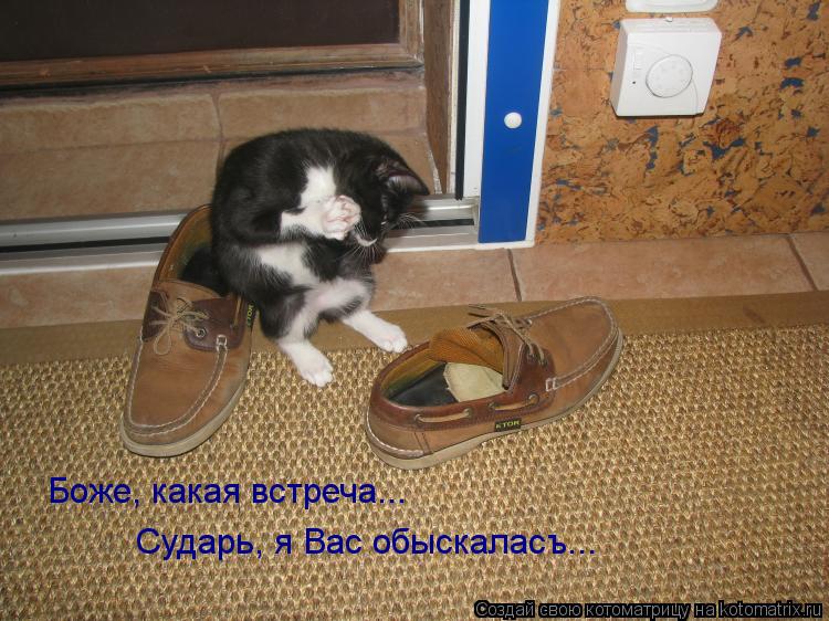 Боже, какая встреча... Сударь, я Вас обыскаласъ...... Котоматрица: Боже, какая встреча... Сударь, я Вас обыскаласъ...