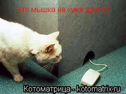 это мышка не хуже другой... Котоматрица: это мышка не хуже другой