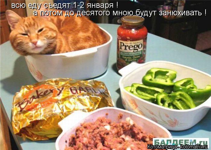 всю еду съедят 1-2 января ! а потом до десятого мною будут занюхивать !... Котоматрица: всю еду съедят 1-2 января ! а потом до десятого мною будут занюхивать !