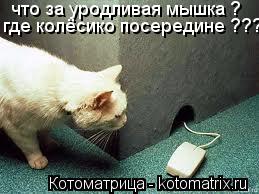 что за уродливая мышка ? где колёсико посередине ???... Котоматрица: что за уродливая мышка ? где колёсико посередине ???