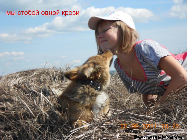 мы стобой одной крови... Котоматрица: мы стобой одной крови