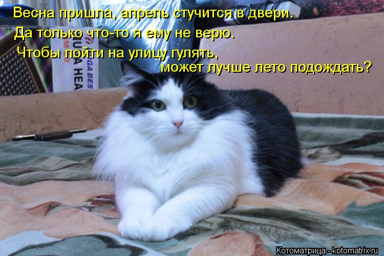 Весна пришла, апрель стучится в двери. может лучше лето подождать? Да только что-то я ему не верю. Чт... Котоматрица: Весна пришла, апрель стучится в двери. может лучше лето подождать? Да только что-то я ему не верю. Чтобы пойти на улицу гулять,